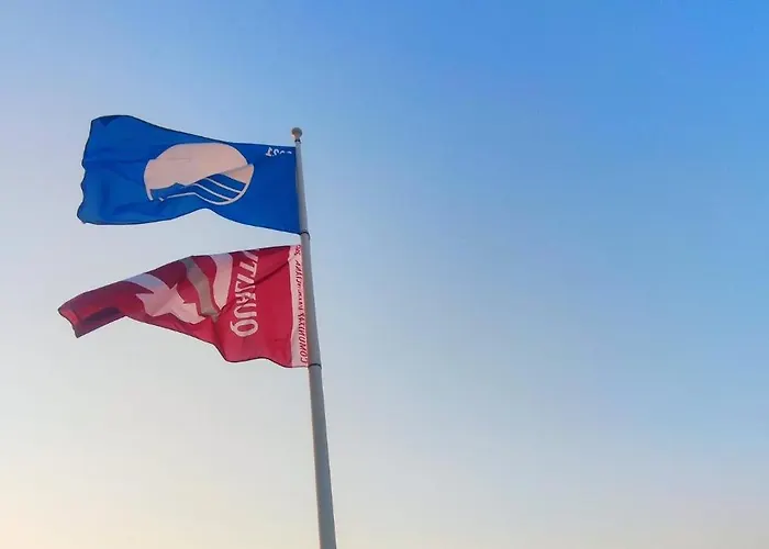 Jacaranda Ii By Costa * デニア