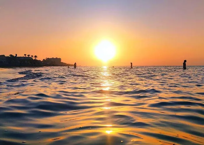 Jacaranda Ii By Costa