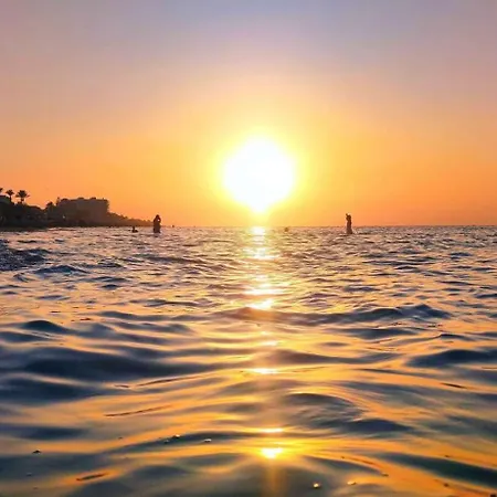Jacaranda Ii By Costa